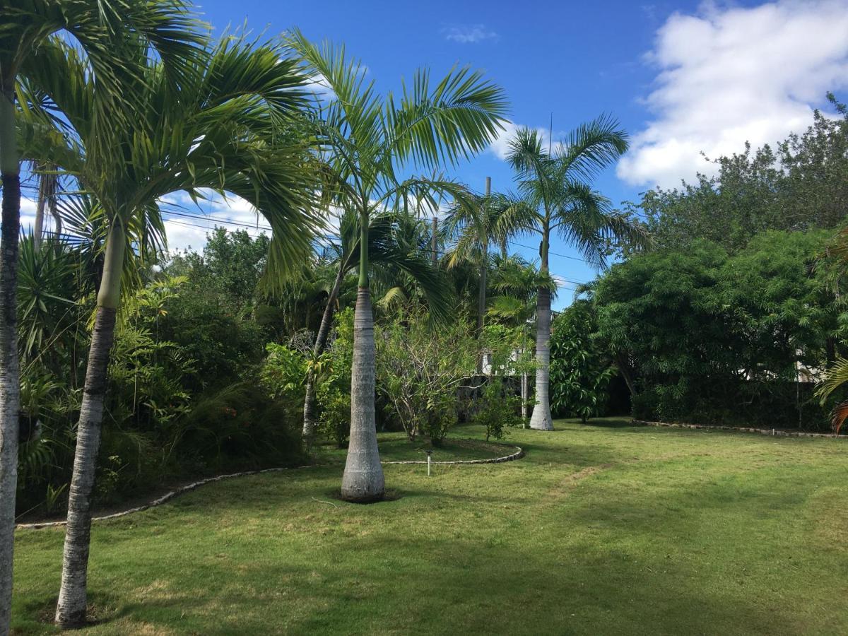 Almond Tree Hotel Resort Corozal Town Extérieur photo