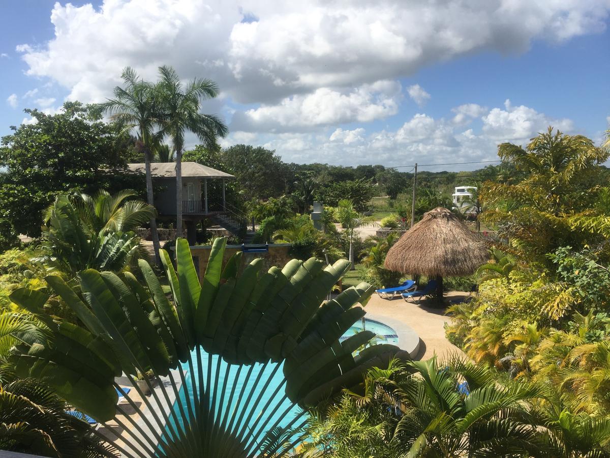 Almond Tree Hotel Resort Corozal Town Extérieur photo