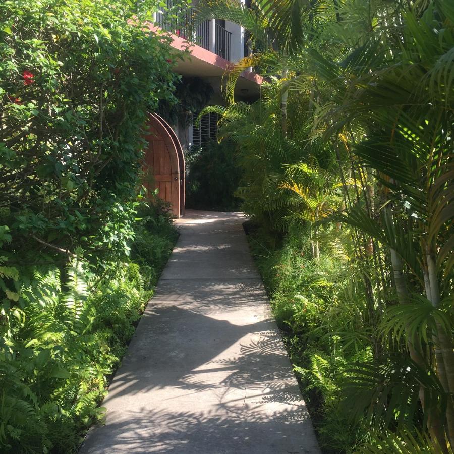 Almond Tree Hotel Resort Corozal Town Extérieur photo