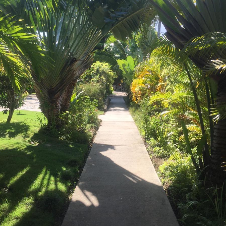 Almond Tree Hotel Resort Corozal Town Extérieur photo