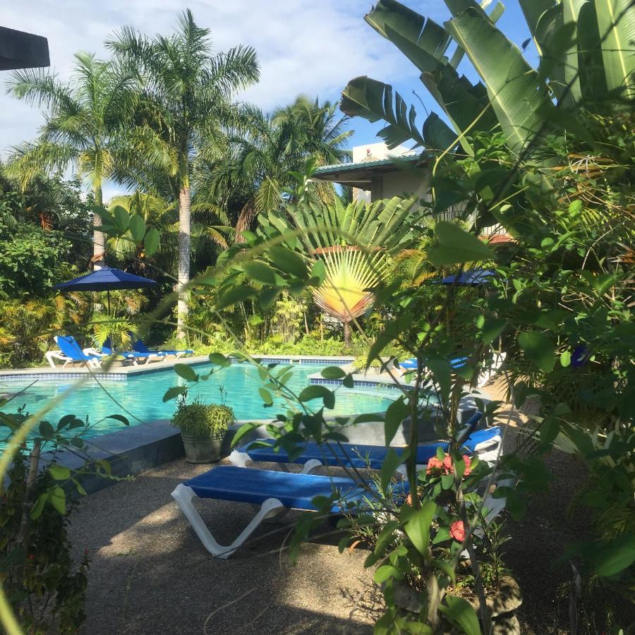 Almond Tree Hotel Resort Corozal Town Extérieur photo